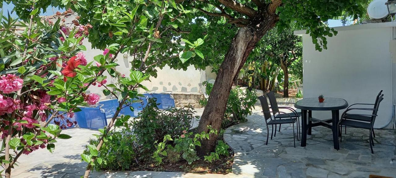Villa Beloussi Zakynthos Κυψέλη Εξωτερικό φωτογραφία