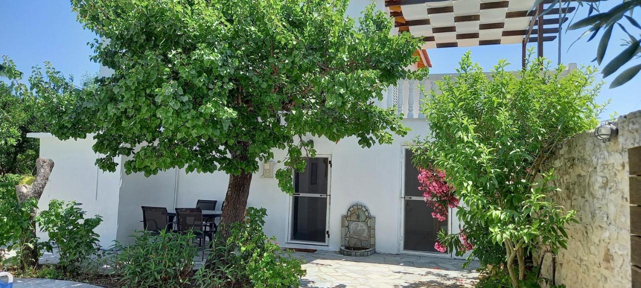 Villa Beloussi Zakynthos Κυψέλη Εξωτερικό φωτογραφία